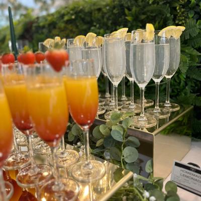 Aneesas Events 3
